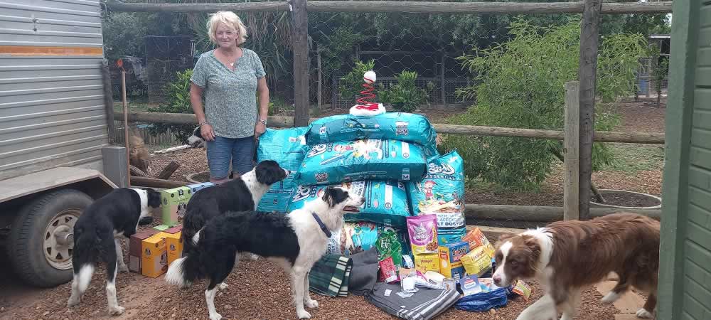 Border Collie Rescue, Cape Town